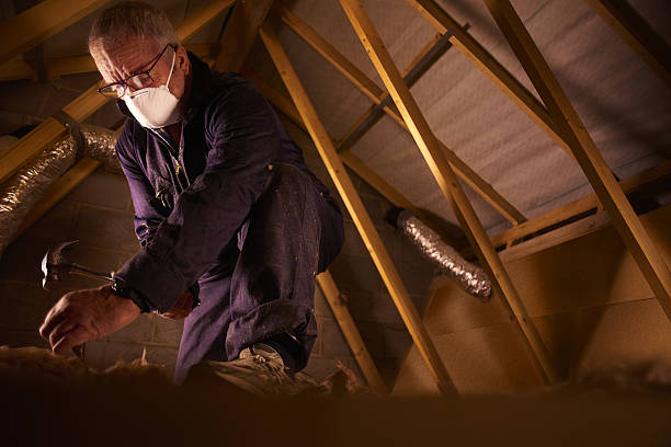 Best Spray Foam Insulation  in Citrus City, TX