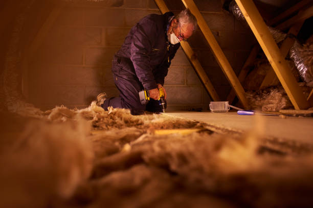 Best Spray Foam Insulation  in Citrus City, TX